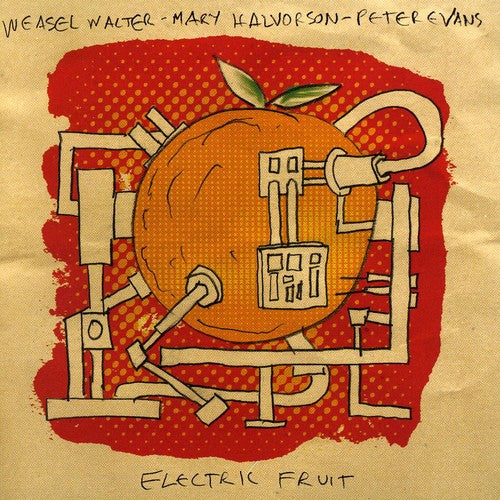 Mary Halvorson Quintet - Electric Fruit [CD]