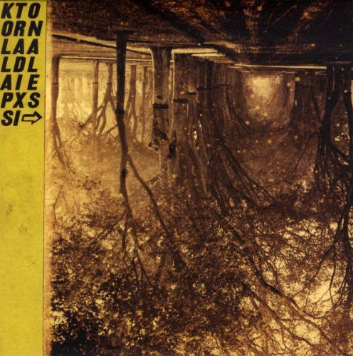 Silver Mt. Zion - Kollaps Tradixionales [With CD] [With Book] [With Poster] [Deluxe Edition] Vinyl Record