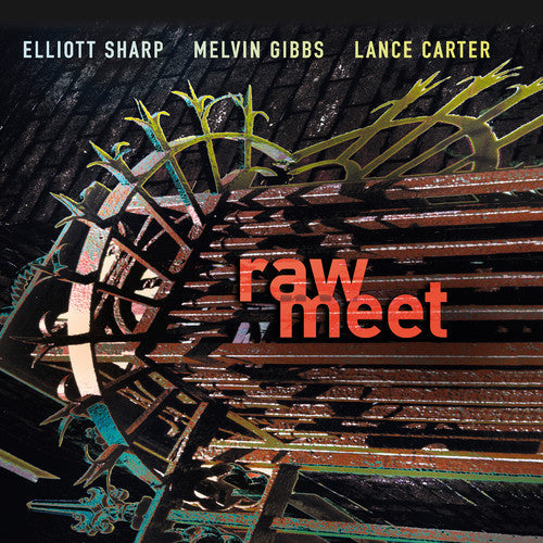 Elliott Sharp - Raw Meet [Import]