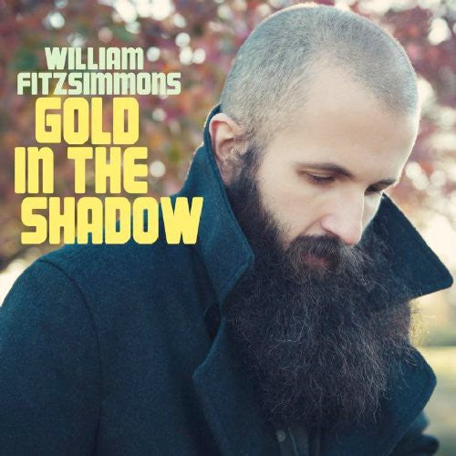 William Fitzsimmons - Gold in the Shadow [LP] Vinyl Record