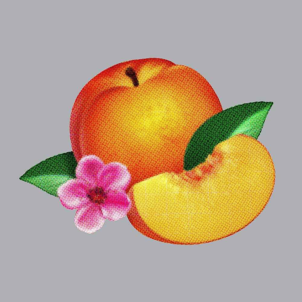 Bankrupt! [CD]