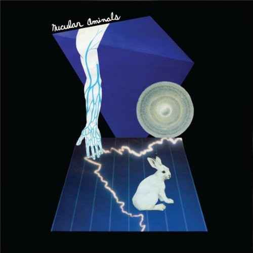 Nucular Aminals [LP]