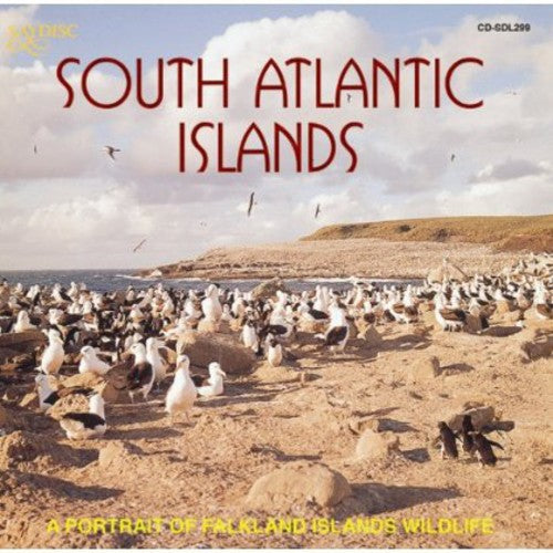 A Portrait Of Falkland Islan - South Atlantic Islands: A Portrait Of Falkland Islands Wildlife [CD]