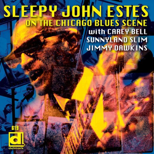 Sleepy John Estes - Brownsville Blues [CD]