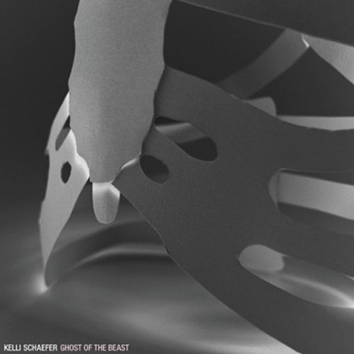 Kelli Schaefer - Ghost of the Beast [LP] Vinyl Record