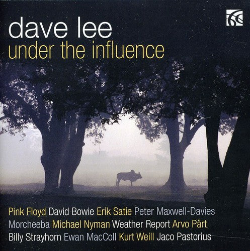 Dave Lee - Under the Influence [CD]