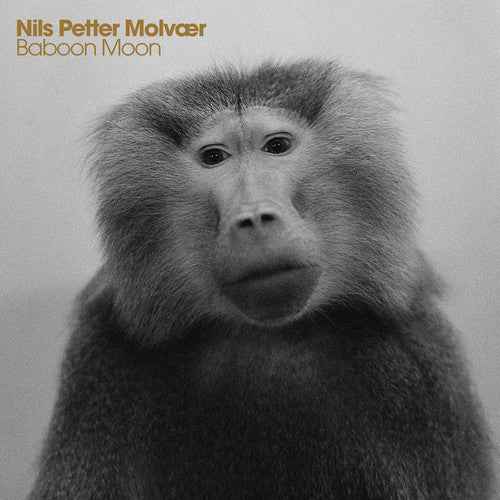 Baboon Moon [CD]