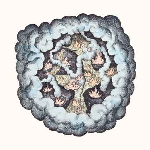 Songs of Pain and Leisure [LP]