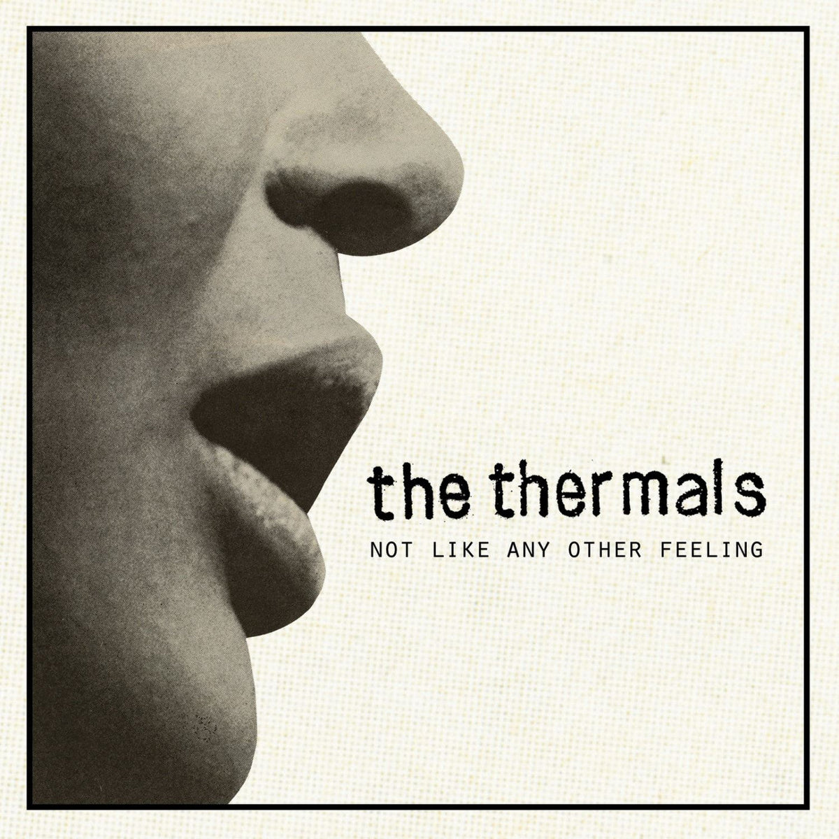 The Thermals - Not Like Any Other Feeling - 7 inch [Vinyl]