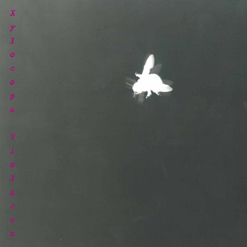 Barbara Maurer - Xylocopa Violacea Music CD