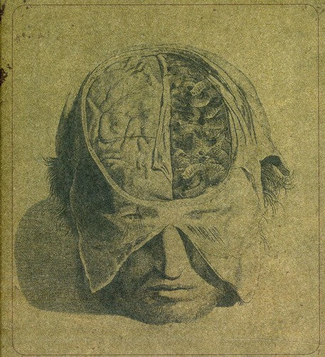 Farsot - Insects [CD]