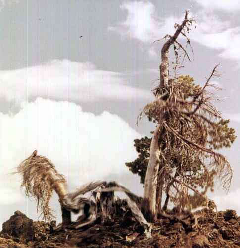Sleep Formations [LP]