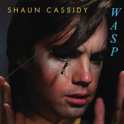 Wasp [Import]