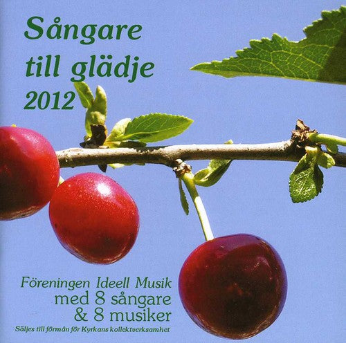 Sangare Till Gladje 2013 / Various - Sangare Till Gladje 2013 / Various Music CD