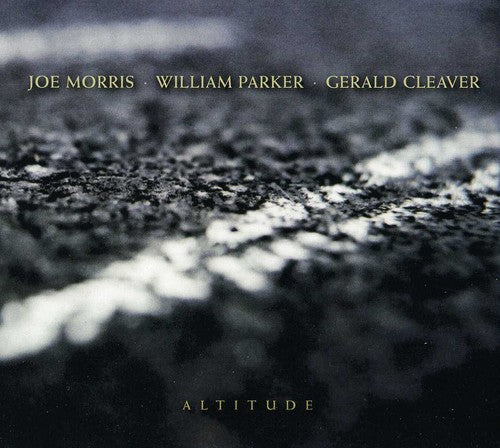 Joe Morris Trio (Guitar) - Altitude [CD]