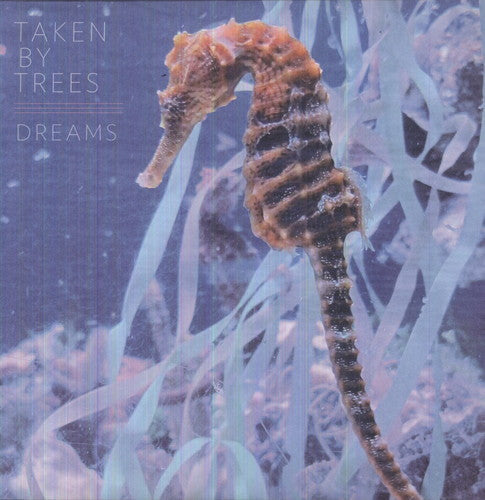 Dreams [12" Vinyl]