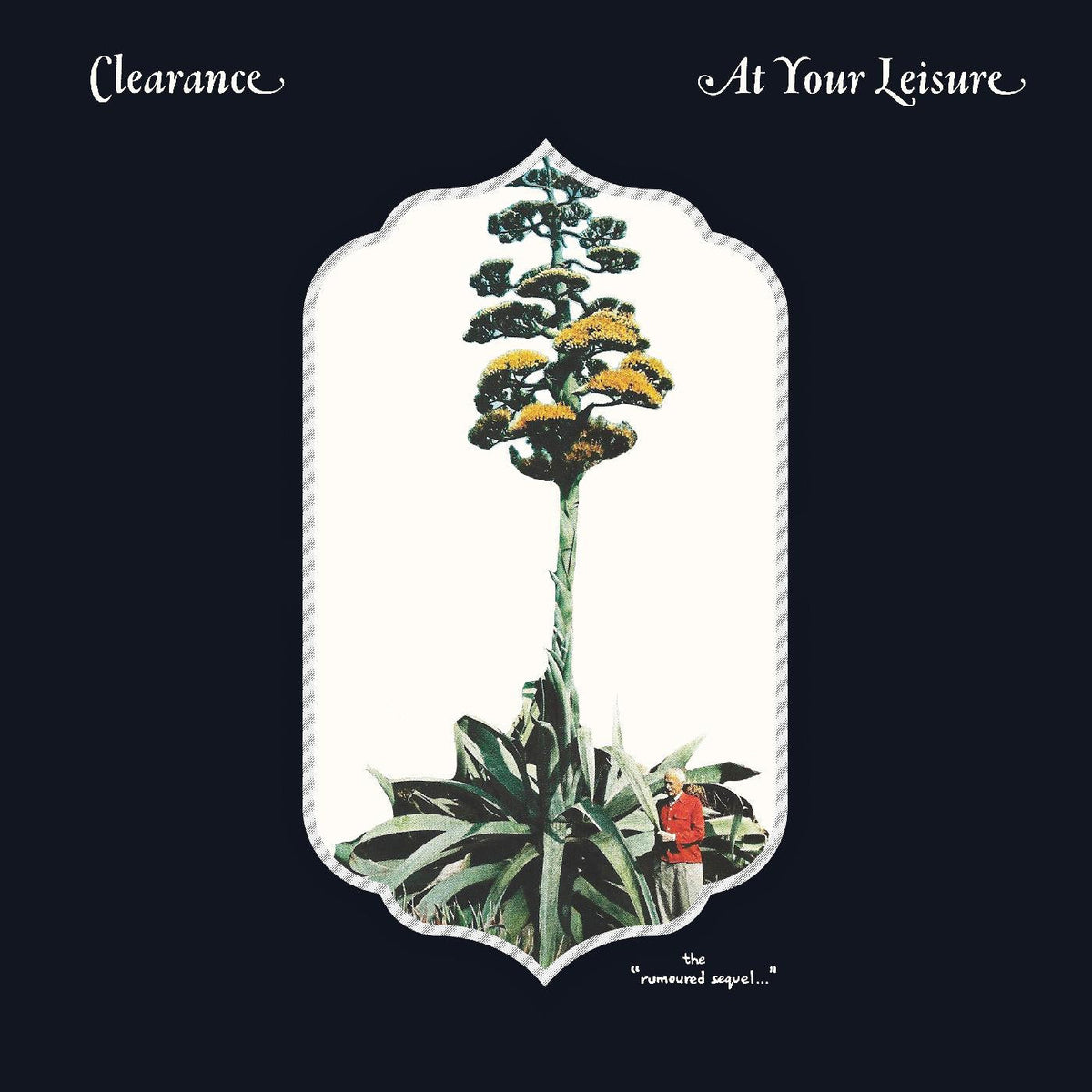 At Your Leisure [Vinyl]