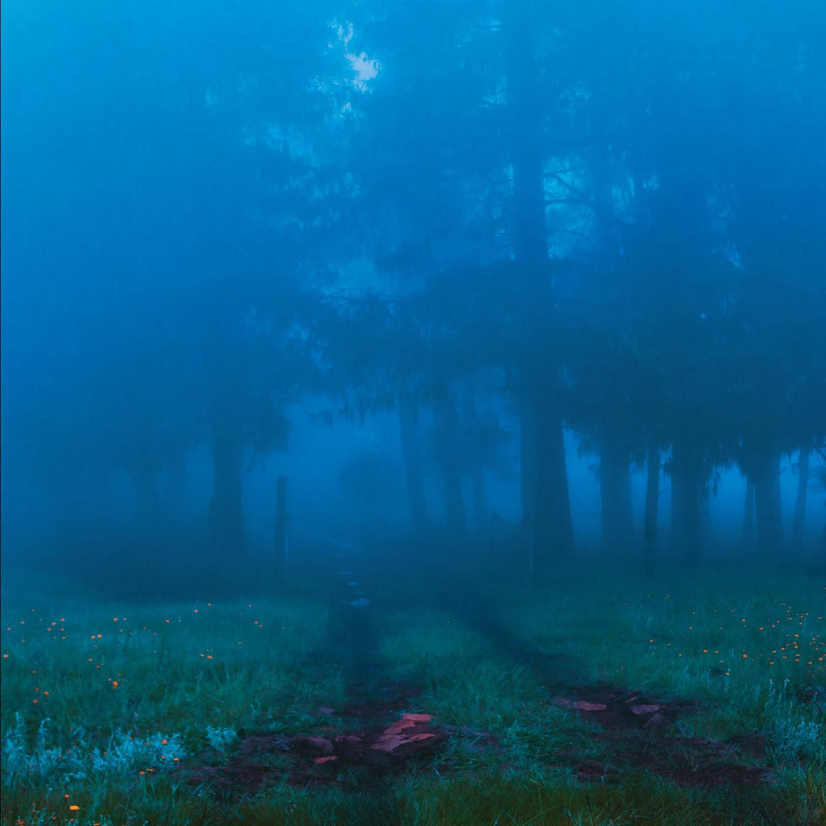 Commune [Vinyl]