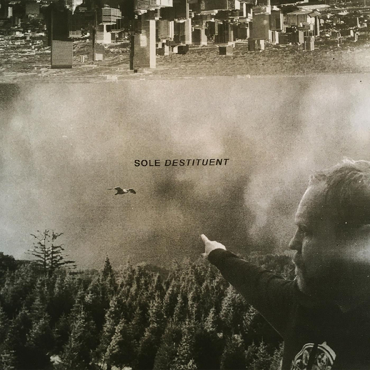 Destituent [Vinyl]