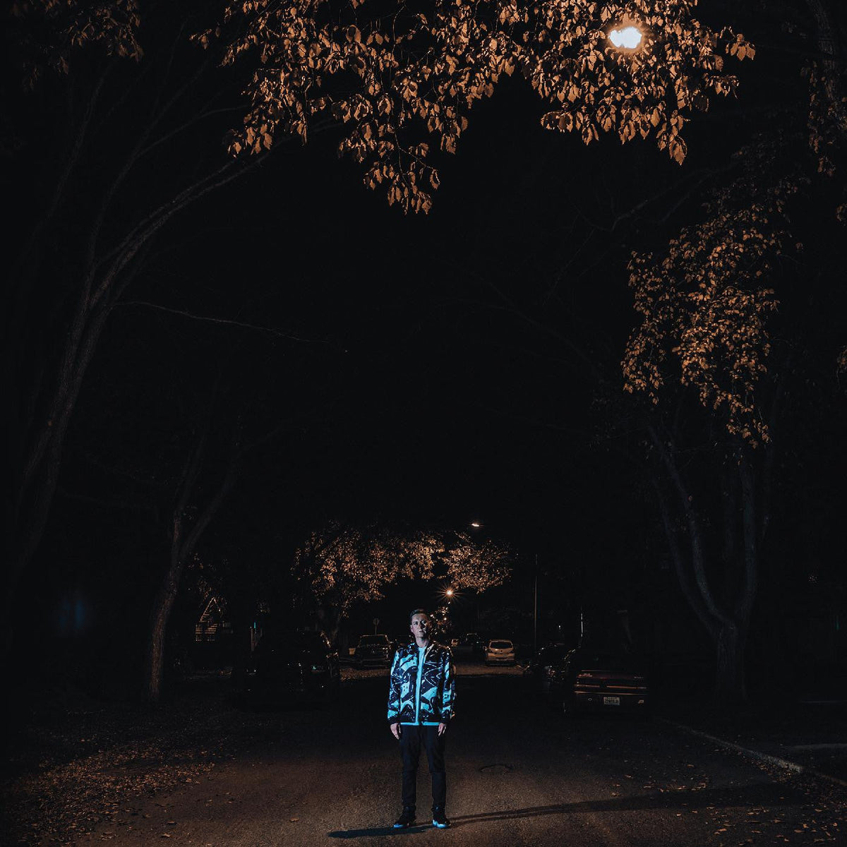 Factor Chandelier - Eastlake [Vinyl]