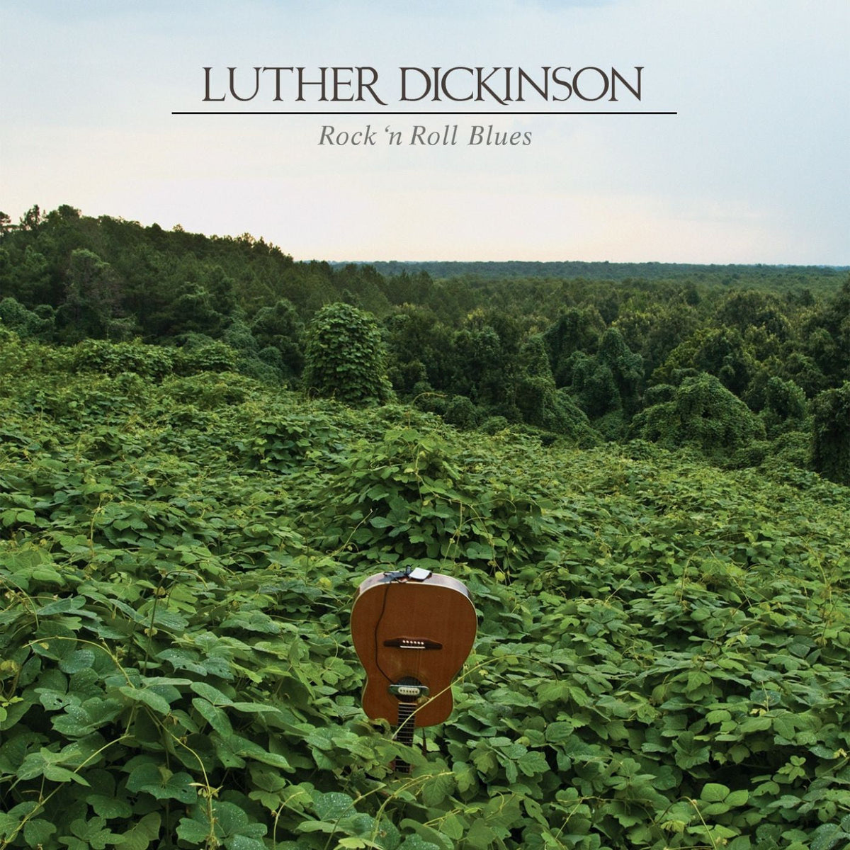 Rock 'n Roll Blues [Vinyl]