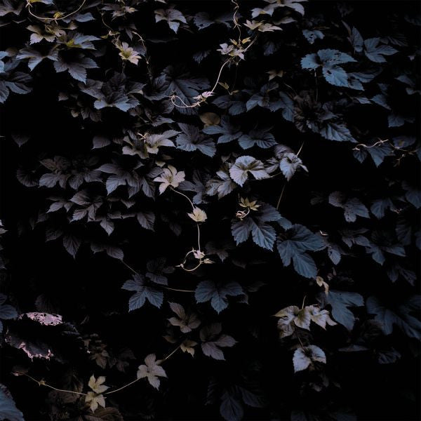 Vivid Flu [Vinyl]