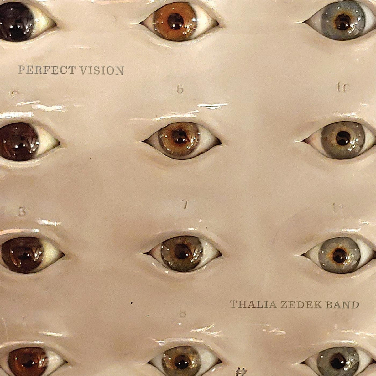 Zedek, Thalia Band - Perfect Vision [Vinyl]