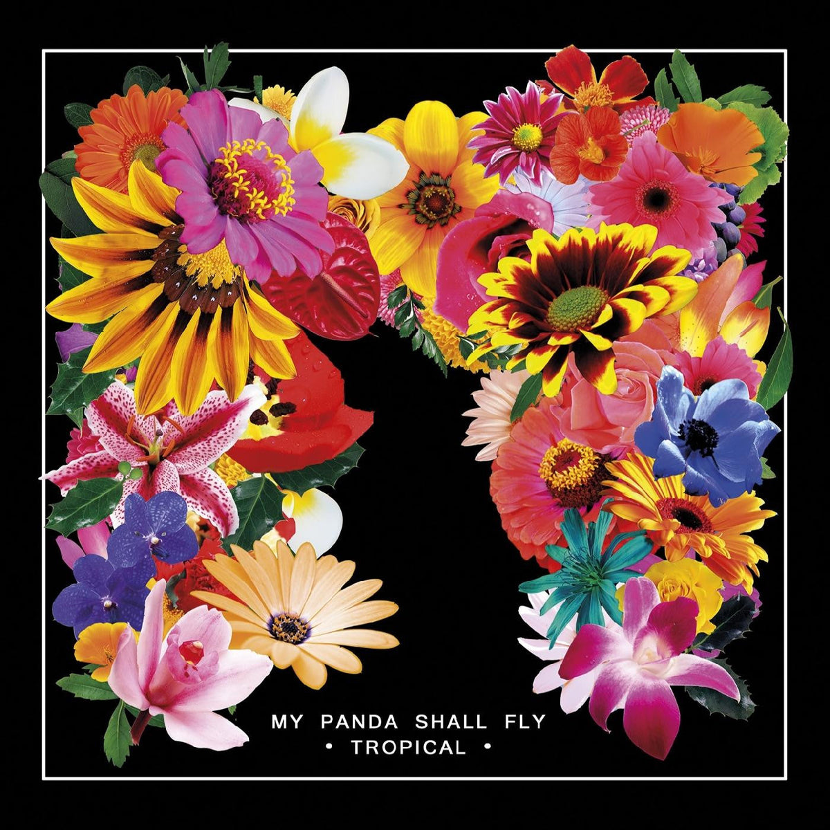 My Panda Shall Fly - Tropical [Vinyl]