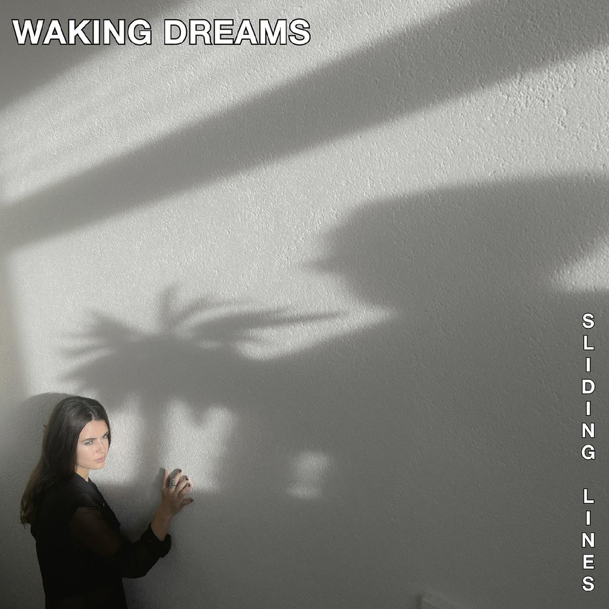 Waking Dreams - Sliding Lines [Vinyl]