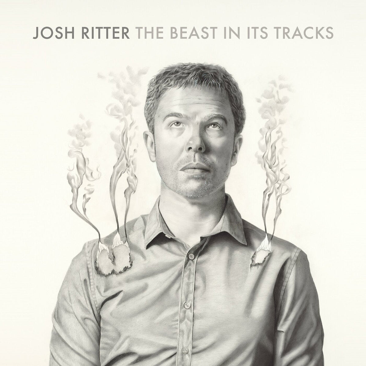 The Beast In Its Tracks [Vinyl]