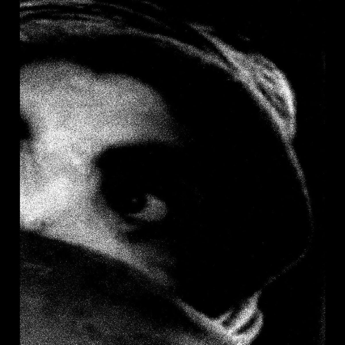 The Body - The Crying Out of Things [Vinyl]