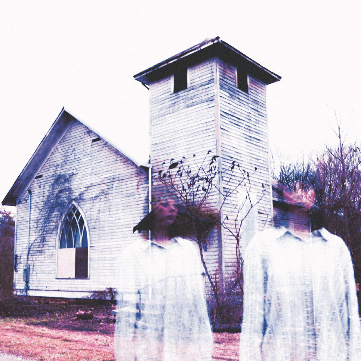 Laughing Chimes, The - Whispers In The Speech Machine (PURPLE & BONE SPLATTER VINYL) [Vinyl]