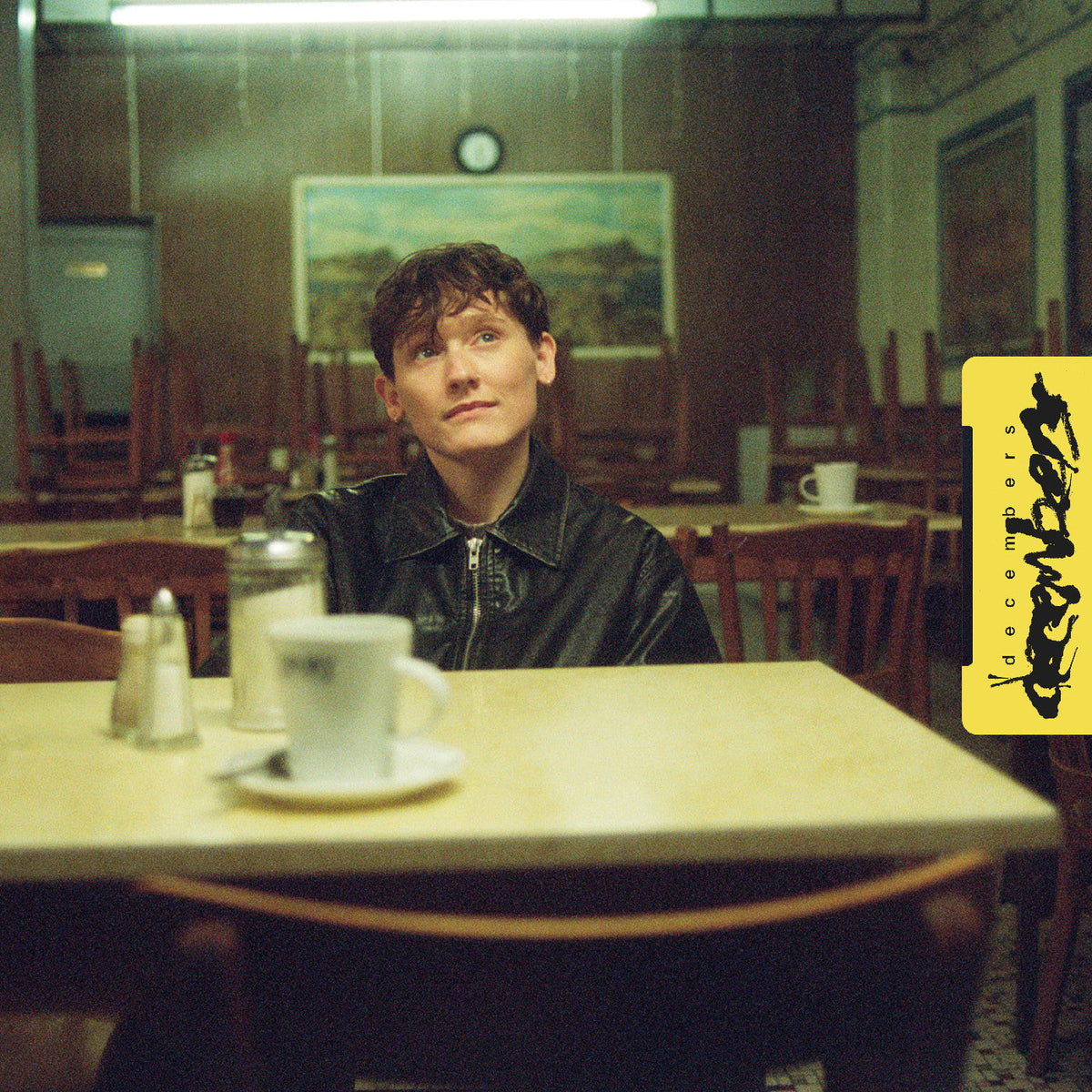 PRE-ORDER: SOAK - decembers [Vinyl]
