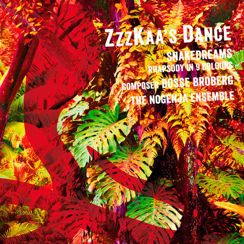 Nogenja Jazz Soloist Ensemble - Zzzkaa's Dance Music CD