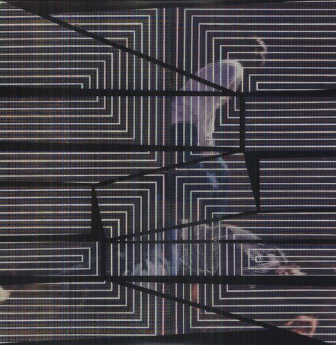 David Grubbs - The Plain Where The Palace Stood [LP] Vinyl Record