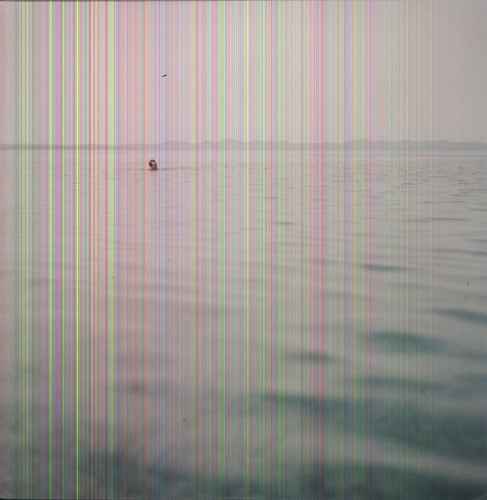 Swim [LP]