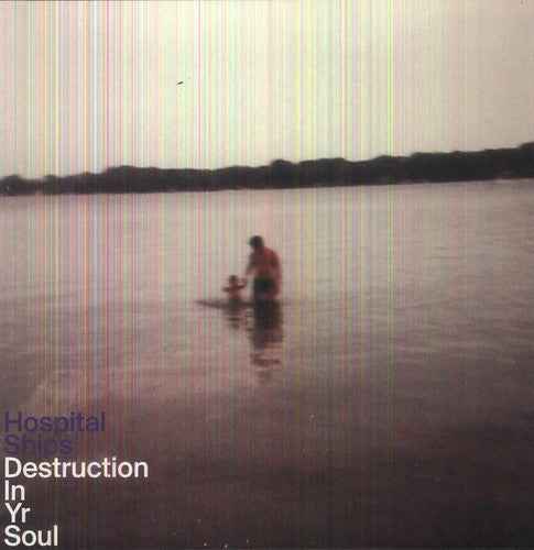 Destruction in Yr Soul [LP]