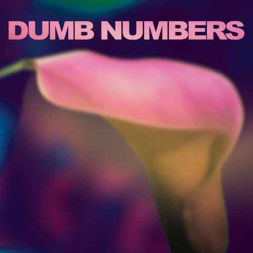 Dumb Numbers [Vinyl]