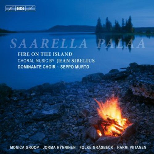 Seppo Murto - Fire on the Island Music CD