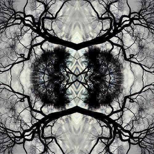 Sonic Mandala Go: Organic Orchestra [LP]