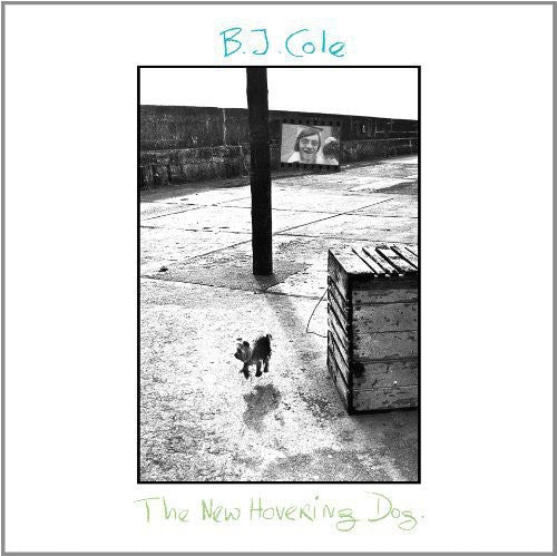 BJ Cole - New Hovering Dog [LP] Vinyl Record