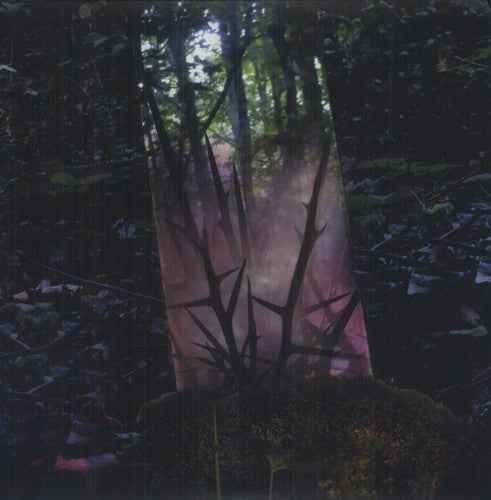 Stealth of Days [LP]