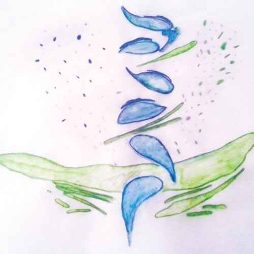 Iterations [LP]