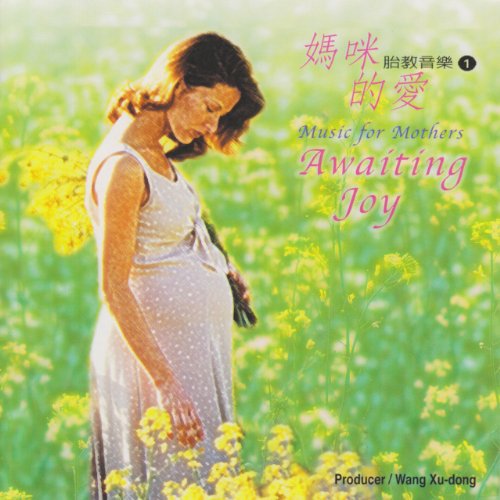 Nanjing Chinese Traditional Orchestra - Awaiting Joy [CD]