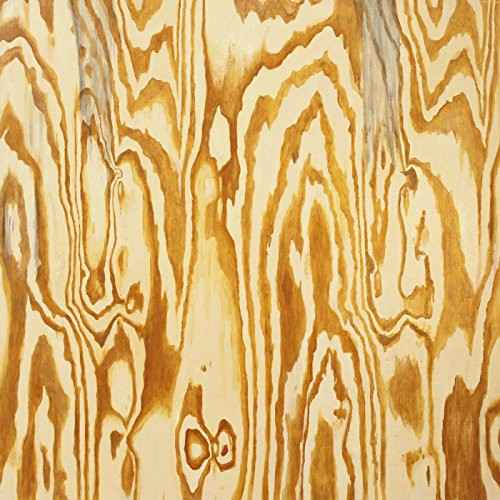 Wooden Aquarium [LP]