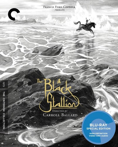 Criterion Collection - Black Stallion/bd - Blu-ray