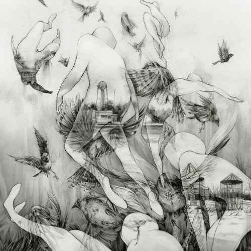 The Last Dawn [Vinyl]