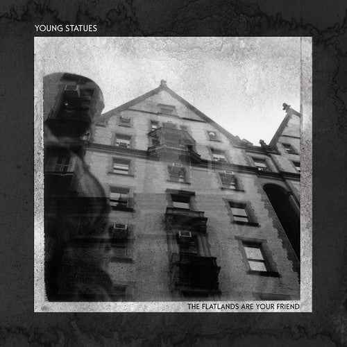 The Flatlands Are Your Friend [Vinyl]