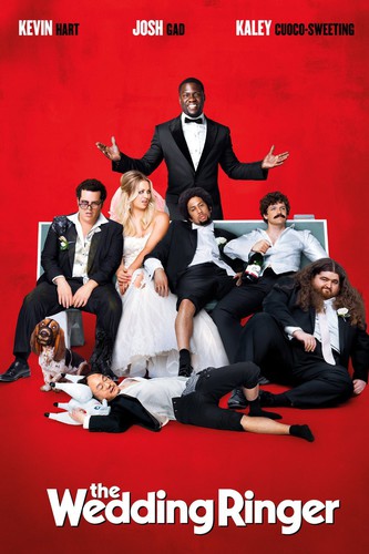 Wedding Ringer - Wedding Ringer - Blu-ray