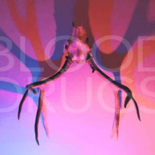 Blood Drugs [LP]
